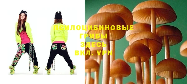 прущая мука Алзамай