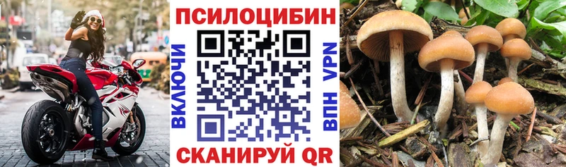 даркнет сайт  Чадан  Псилоцибиновые грибы GOLDEN TEACHER 